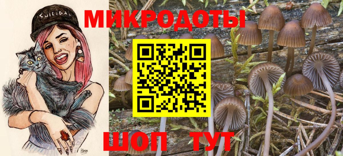 Псилоцибиновые грибы ЛСД Нурлат